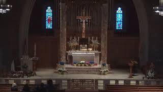 8:00 AM Celebration of the Holy Mass April 28, 2026
