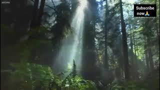 Angni ka'sara A'chik a'song lyrics video