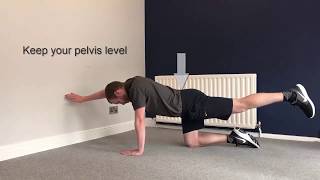 Low back strengthening exercise- Quadruped