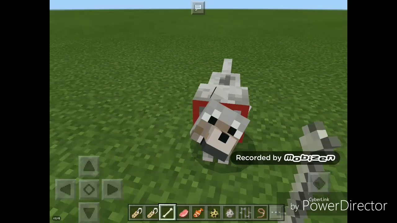Minecraft Comment nommé un chat ou un chien YouTube