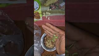 Desi gym diet 💪🦁🔥#gymlife #motivation #gymlover #gym #workout #shots #videoviral