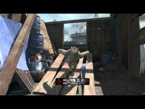 Python Head Shot Across the Map