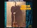 Play On Your Harp - David Wilcox