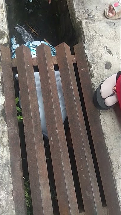 Viral Anak Kecil Mungut Sawer Sampe Masuk Solokan - Got Kocak
