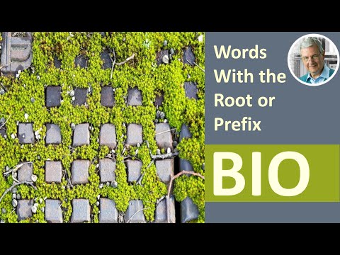 Video Words With the Root or Prefix BIO (7 Examples) - youtube