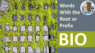 Words With the Root or Prefix BIO (7 Examples)