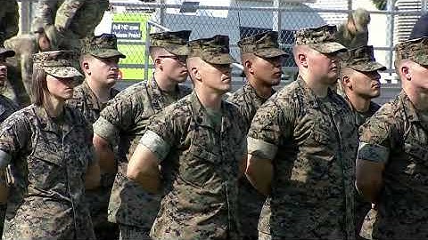 AFRICOM Change of Command Ceremony (2019) 🇺🇸