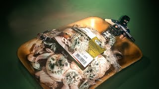 Просроченная гейминг культура Просроченная гейминг культура