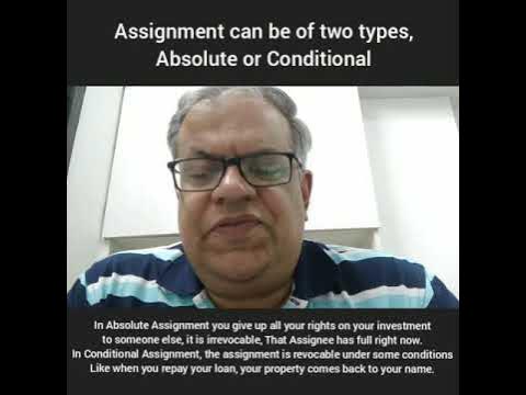 absolute assignment and conditional assignment