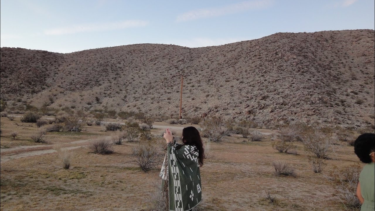 mogging in Joshua Tree