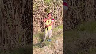 Mere Pyale Mein Sharab Dal De dance ramkumar bollywood song