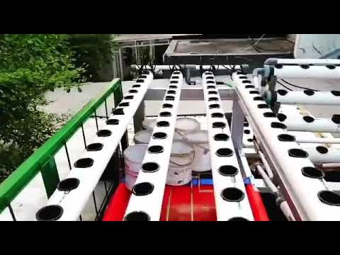 Contoh modul iHidroponiki sistem iNFTi iDFTi Kebun iHidroponiki Contoh modul iHidroponiki sistem iNFTi iDFTi Kebun iHidroponiki