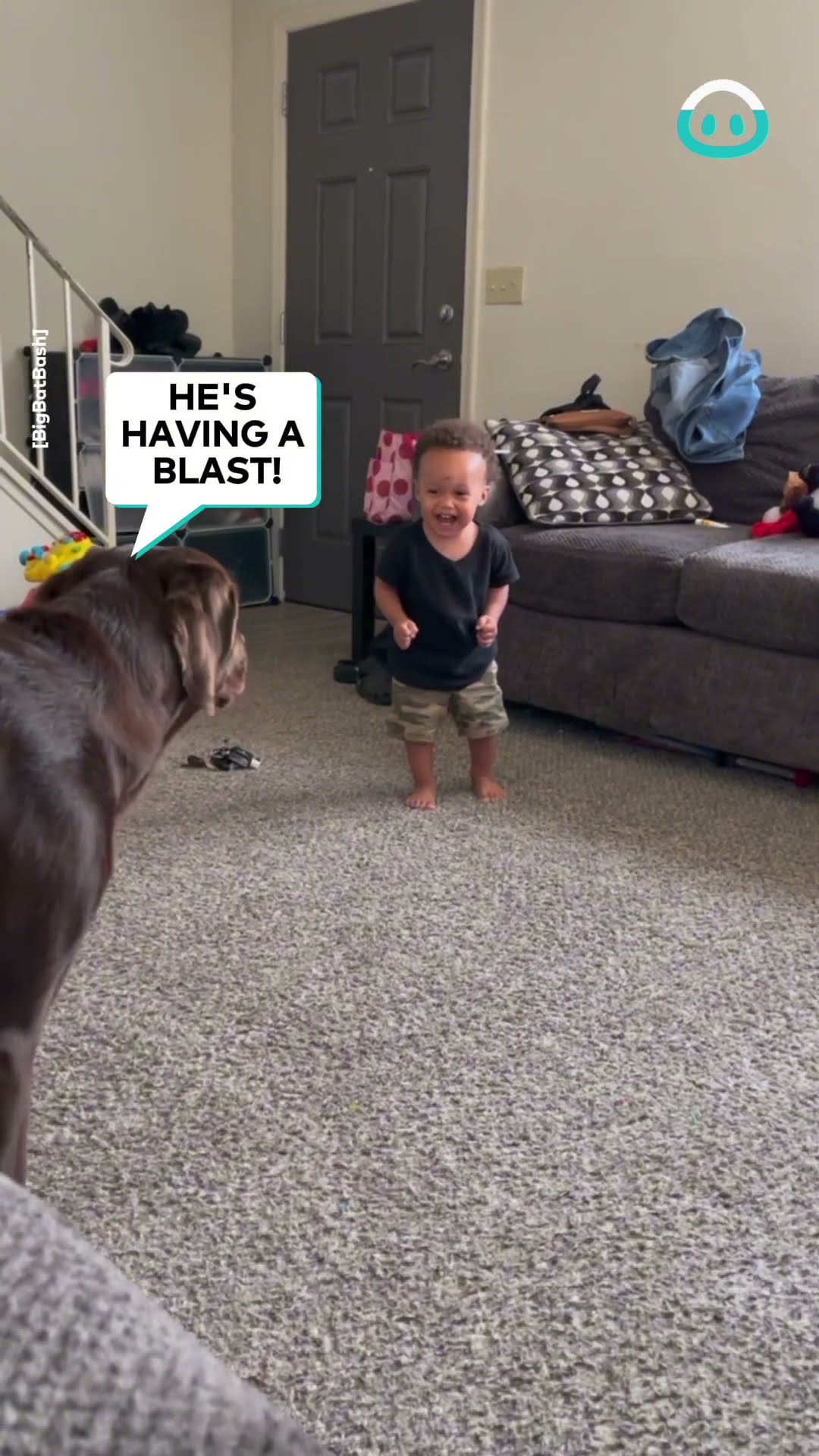 Adorable Baby Bash Plays with Dog Bestie || ViralHog