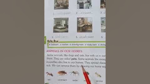 House 🏡 we live in class 2 || part 4 @@ Cordova publication with hindi explanation