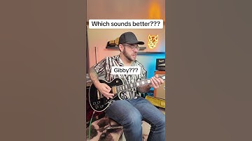 Gibson Les Paul Custom VS EPIPHONE Les Paul Custom