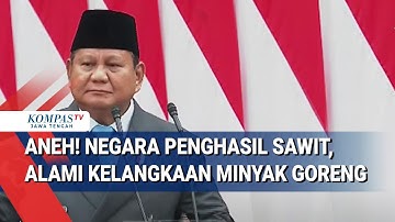 Prabowo: Aneh! Negara Penghasil Sawit Terbesar di Dunia, Alami kelangkaan Minyak Goreng