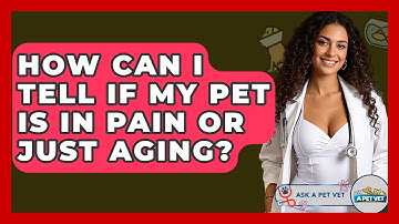 How Can I Tell If My Pet Is In Pain Or Just Aging? - Ask A Pet Vet