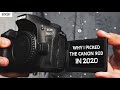 Why i picked the Canon 90D over the Canon EOS R & RP in 2020