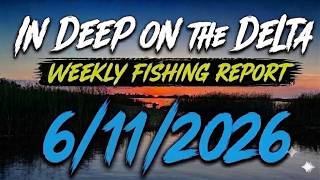 The In Deep On The Delta Weekly Fishing Report For 6/11/2026.