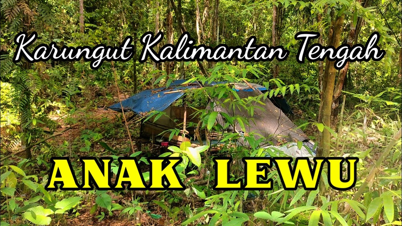 Karungut Dayak Kalimantan Tengah - Anak Lewu, Cipt/ Vocal. Bilton