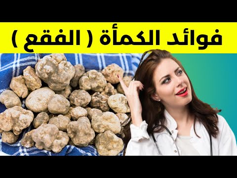 ماهي فوائد الفقع الكمأة هذه هي فوائد الكمأة الفقع كما لم تسمع بها من قبل ولأول مرة