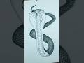 Easy Snake Drawing How To Draw A Snake Snake Drawing How To Draw A Cobra Snake 