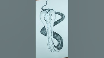 Easy Snake Drawing | How to Draw a Snake | Snake drawing | How to draw a cobra snake