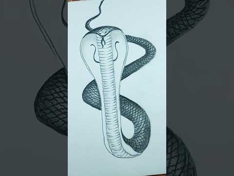 Easy Snake Drawing How To Draw A Snake Snake Drawing How To Draw A Cobra Snake 