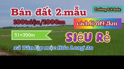 Bán đất 20công đất lúa 3vụ Tại xã Tân lập mộc Hóa Long An Giá 100t/1000m wt☎️0335535649 #datgiare
