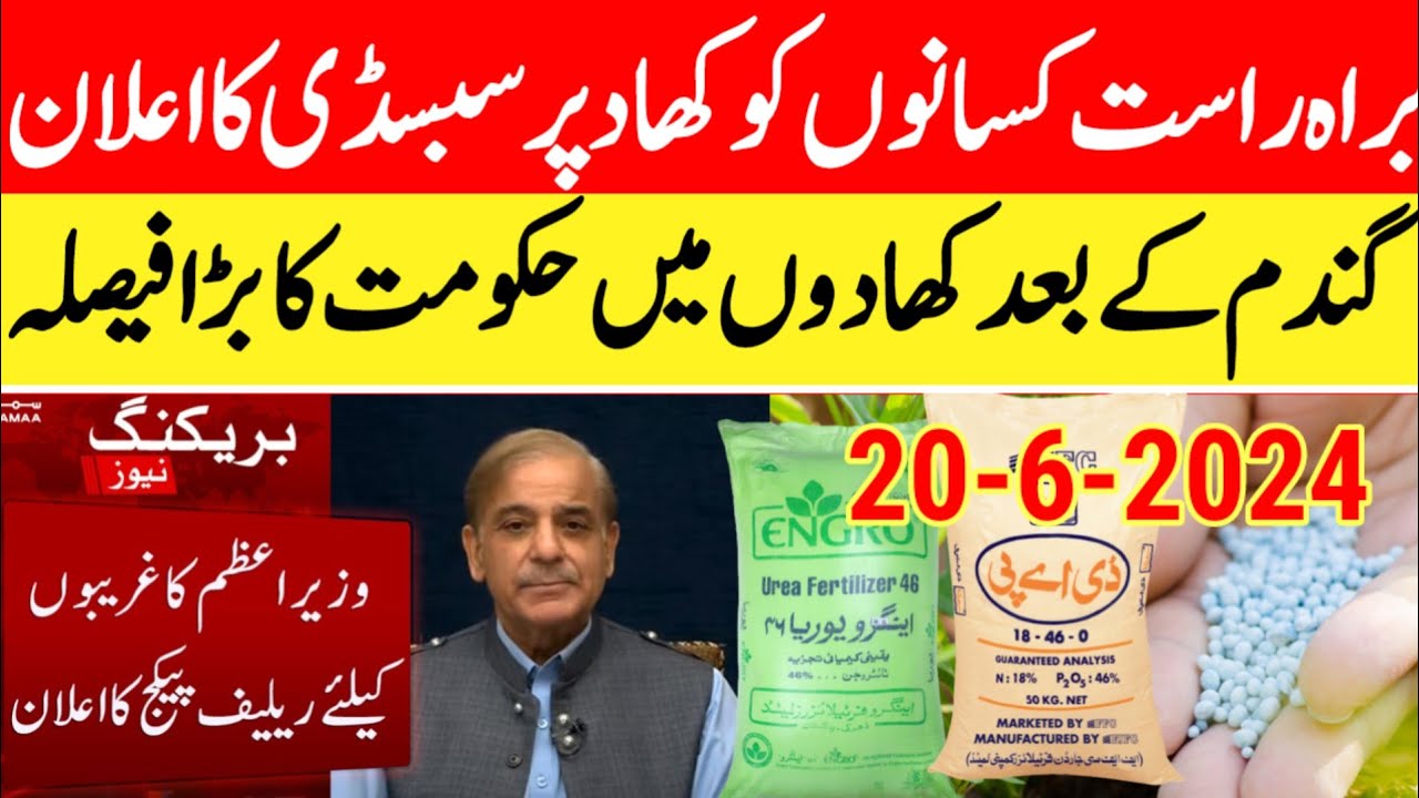 wheat price today in punjab 2024/Fertilizers new rates in Punjab 2024 ...