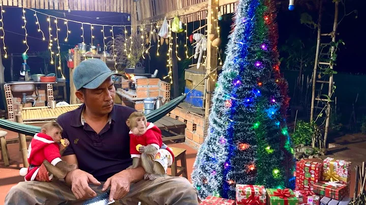 BiBi & BR were surprised to see Sơn decorating the Christmas tree with lights.