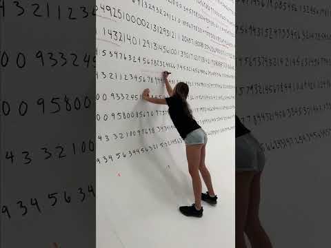 Human Calculator Solves