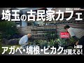 【埼玉園芸店巡り】アガベ、塊根植物、ビカクシダが買える越谷レイクタウンの古民家カフェa.myu and villageに行ってきた!