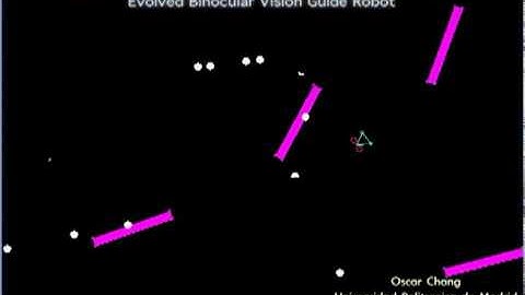 Evolved Binocular Vision Guide Robot