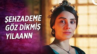 Tüm Yılanları Sarayımda Besliyorum Resmen!