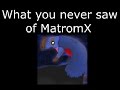 What you never seen of MatromX- Rejected and Private animations.