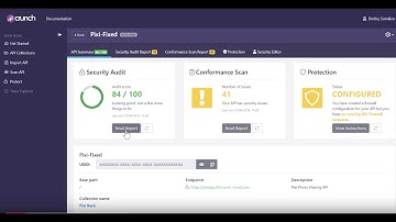 42Crunch API Security Platform: Protection in Kubernetes