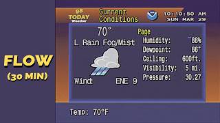 Light Rain and Fog in Ft. Myers, FL — Smooth Ambient | FLOW (30 Min)