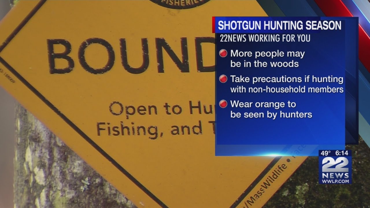 Shotgun season for deer hunting begins in Massachusetts YouTube