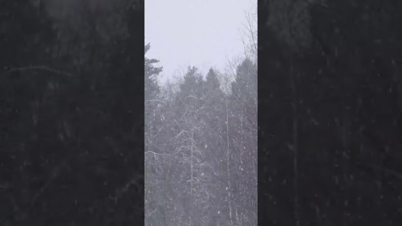 ndless (nastya kreslina) via instagram stories. (march 7th, 2021)