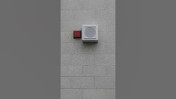Thumbnail of My School Bell