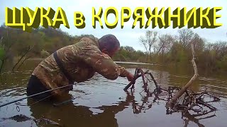 🔥 Как поймать ЩУКУ в КОРЯЖНИКЕ? Пришлось залезть в болото... Рыбалка на спиннинг в апреле 🔥