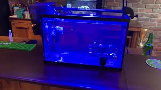 Adding nitrifying bacteria to a bare bottom salt water fish tank with bio media