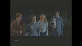 DANIEL RADCLIFFE FINDS TRUTH ABOUT FRIENDSHIP