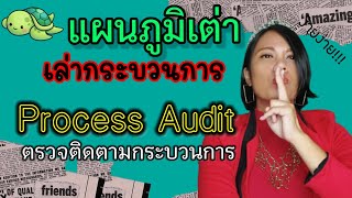 แผนภูมิเต่า เล่ากระบวนการ ตรวจติดตามกระบวนการ Process audit turtle diagram เจ้าหญิงแห่งวงการiso