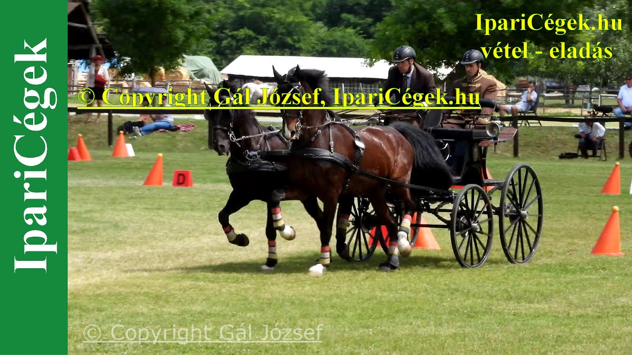 Fogathajtás, HORSE PAIR 3*, Vecsés, 2022., Akadályhajtás, 4K, sv4K220605-C15-4167-230914