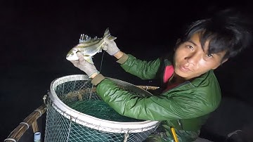 Giăng Câu Đêm - Dính Toàn Cá Căng Khủng - Chuột Miền Biển