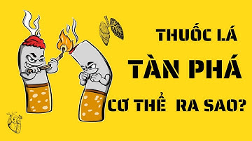 Tác Hại Của Thuốc Lá: Những Sự Thật Không Thể Bỏ Qua
