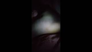 My Brother Friends Sleepy Feet