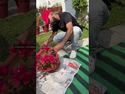 Video: How to Make an Engraving on Stone: 14 Steps (with Pictures)